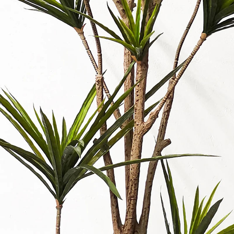 Dracaena Marginata Artificiel