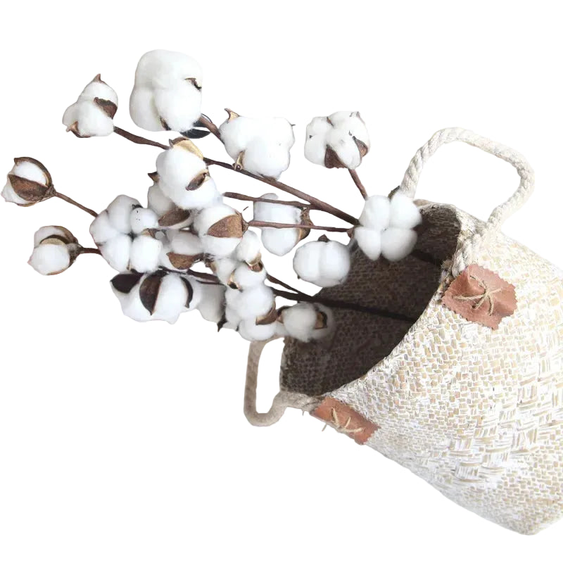 Fleur de Coton Décorative