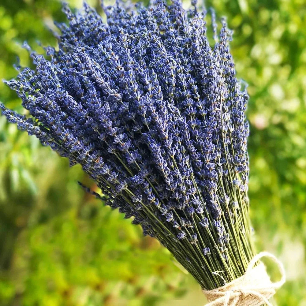 Bouquet de Lavande Naturelle Séchée