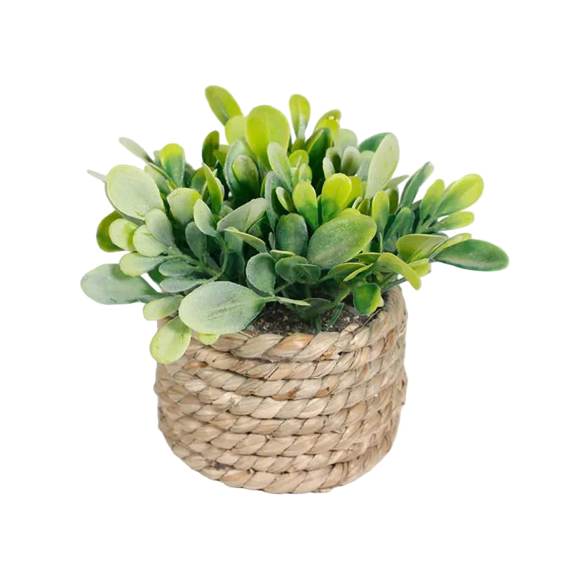 Mini-Pot Déco Tressé