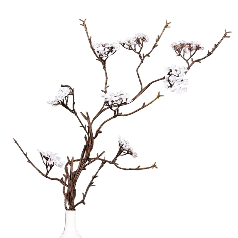 Branche de Prunier Japonaise