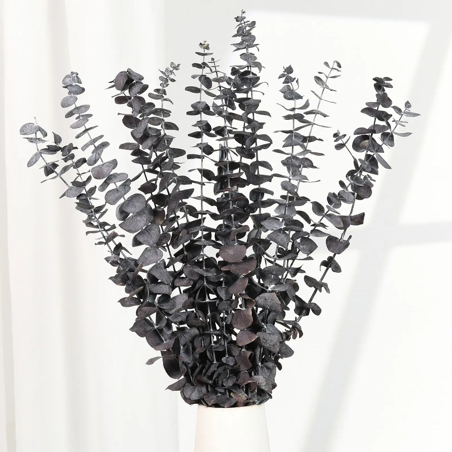 Bouquet d’Eucalyptus Séché