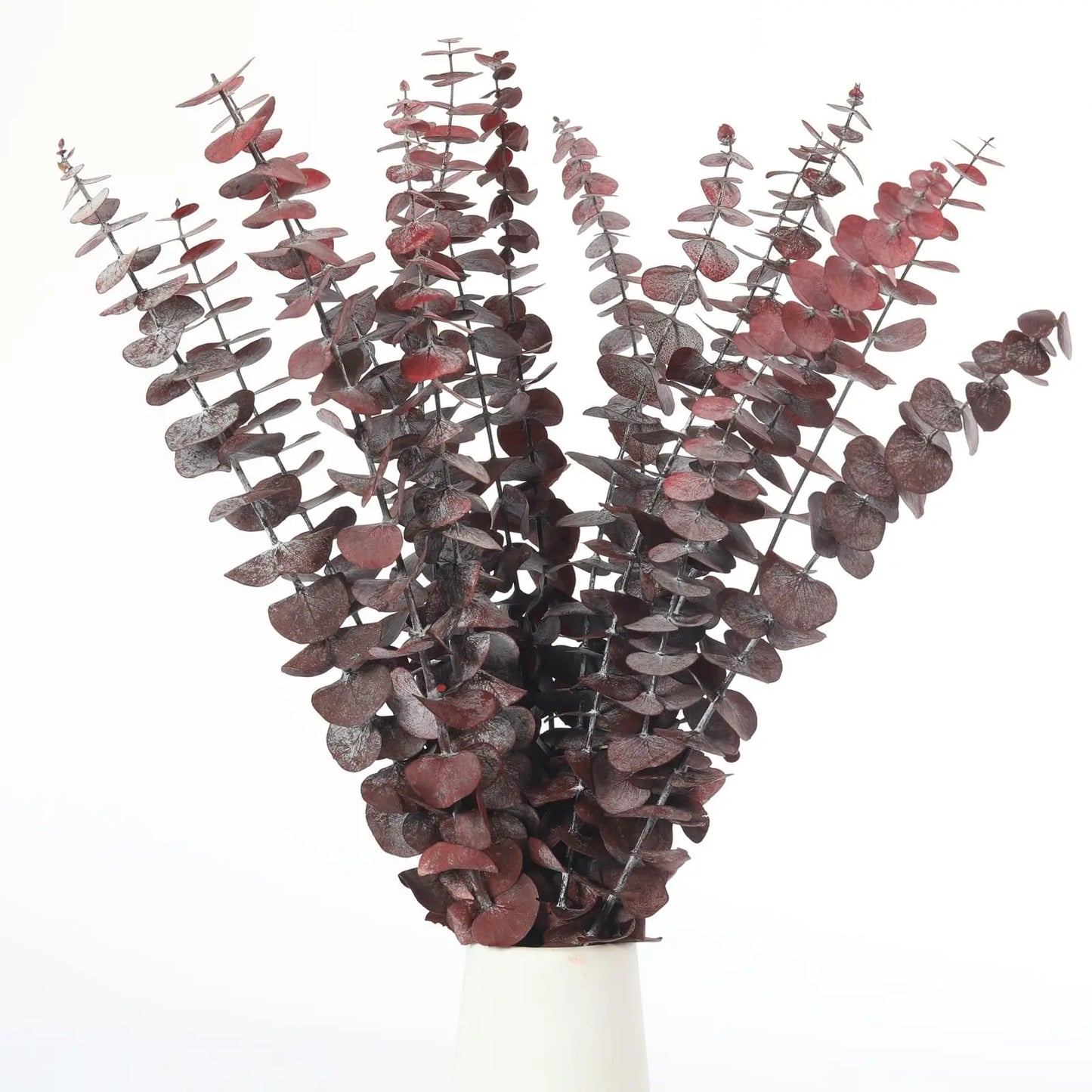 Bouquet d’Eucalyptus Séché