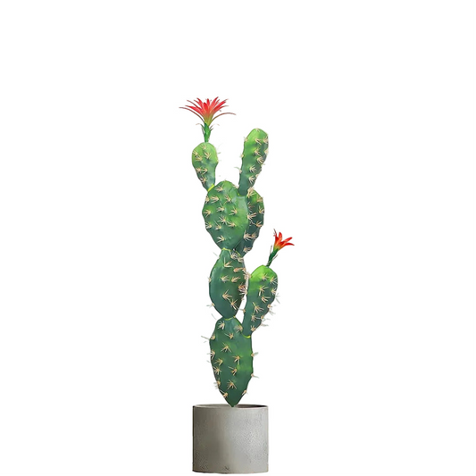 Cactus Opuntia Avec Fleurs