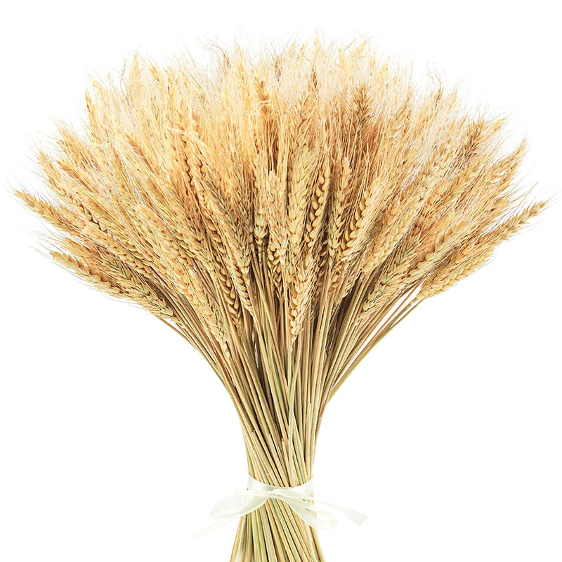 Bouquet de Blé Séché