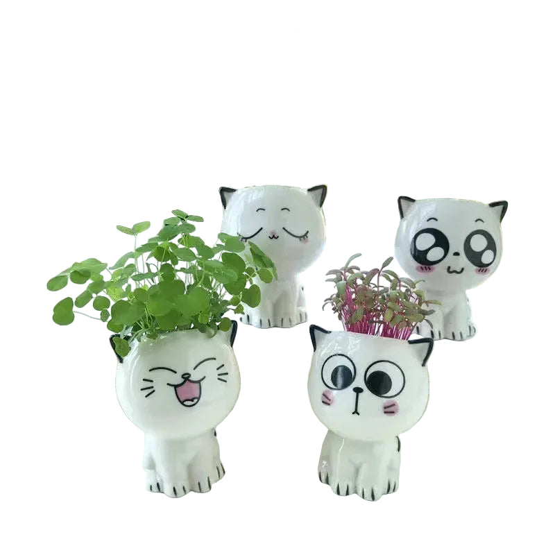 Mini Pot Déco "Têtes de Chats Mignonnes"