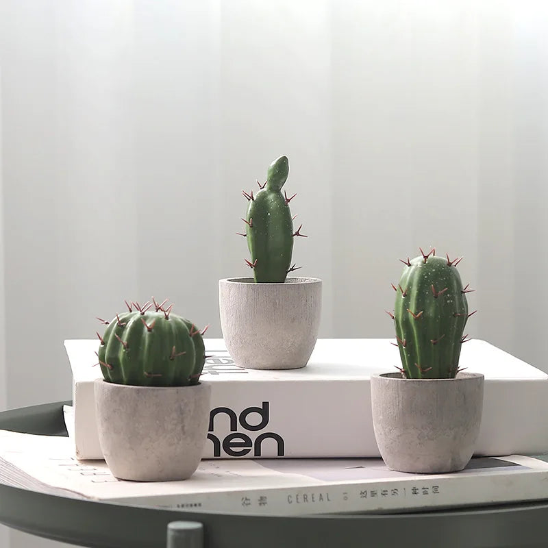 Mini Cactus Artificiels