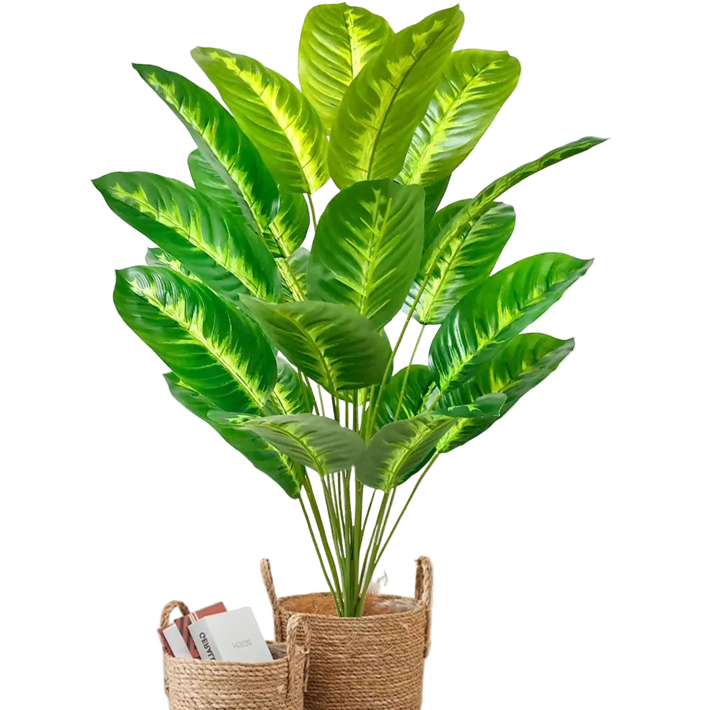 Strelitzia Artificielle