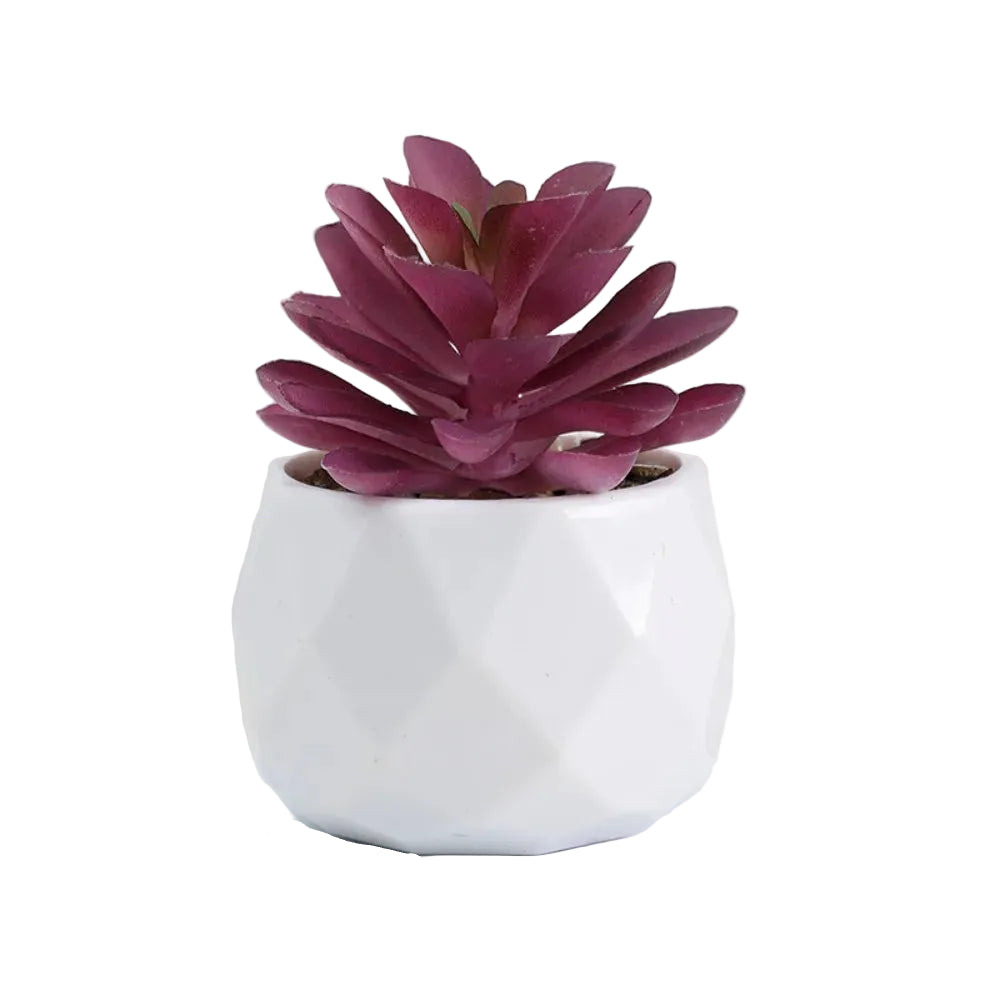 Mini-Succulente Artificielle