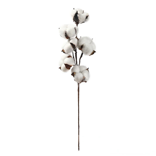 Fleur de Coton Décorative
