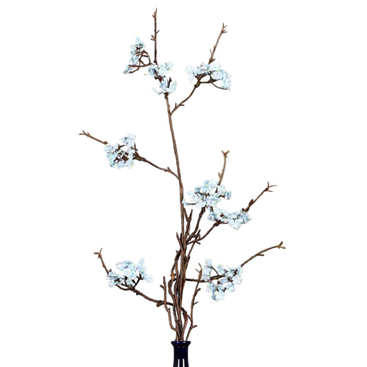Branche de Prunier Japonaise