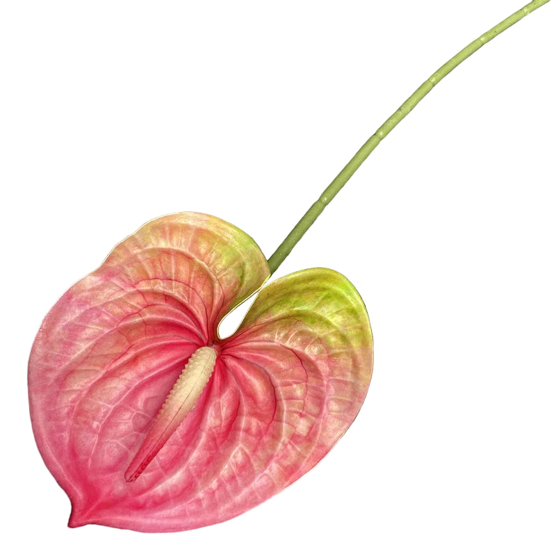 Anthurium Artificiel Réaliste
