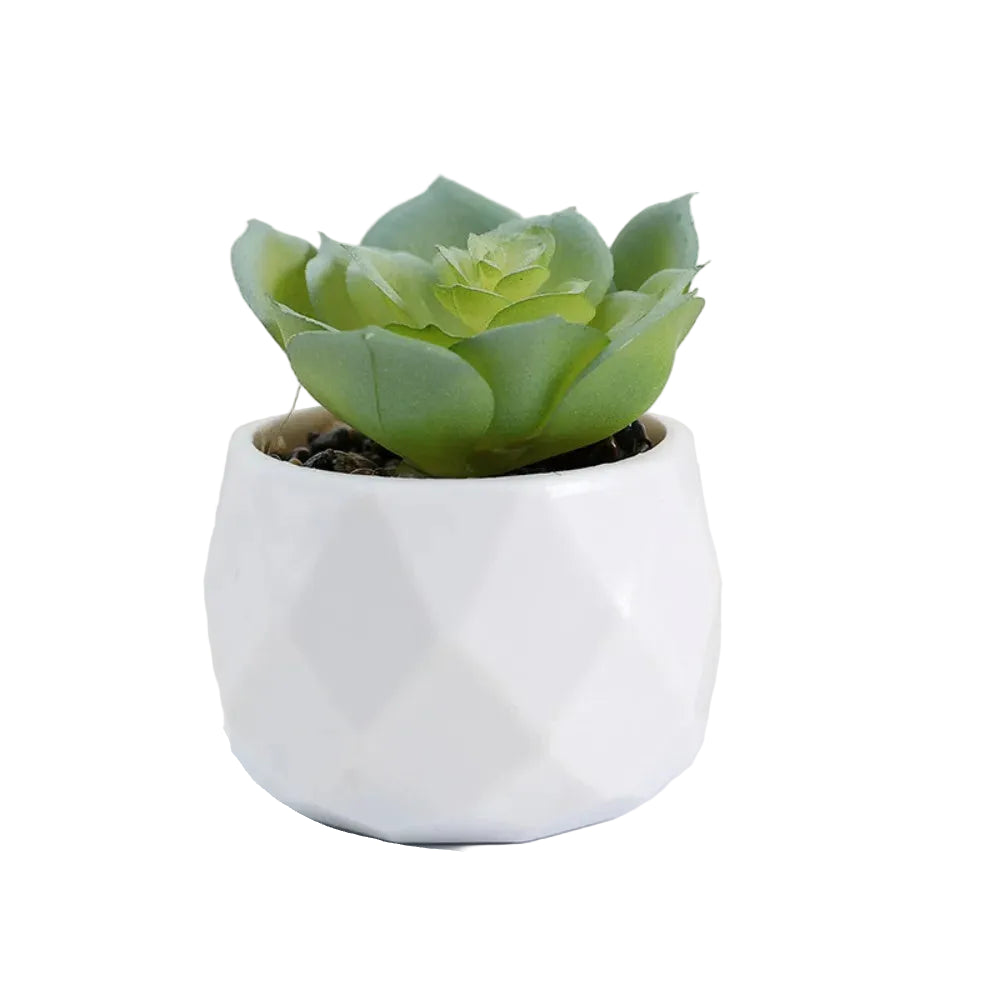 Mini-Succulente Artificielle