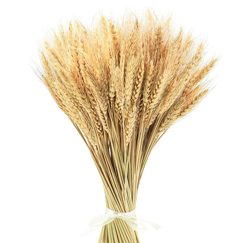 Bouquet de Blé Séché