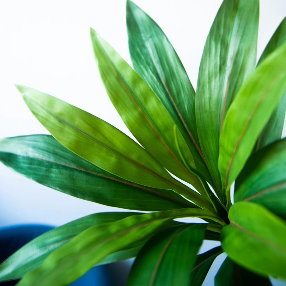 Plante Artificielle Dracaena