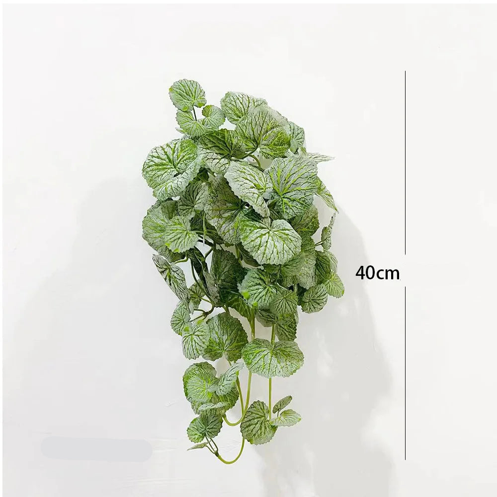 Plante Feuillage Nerveux