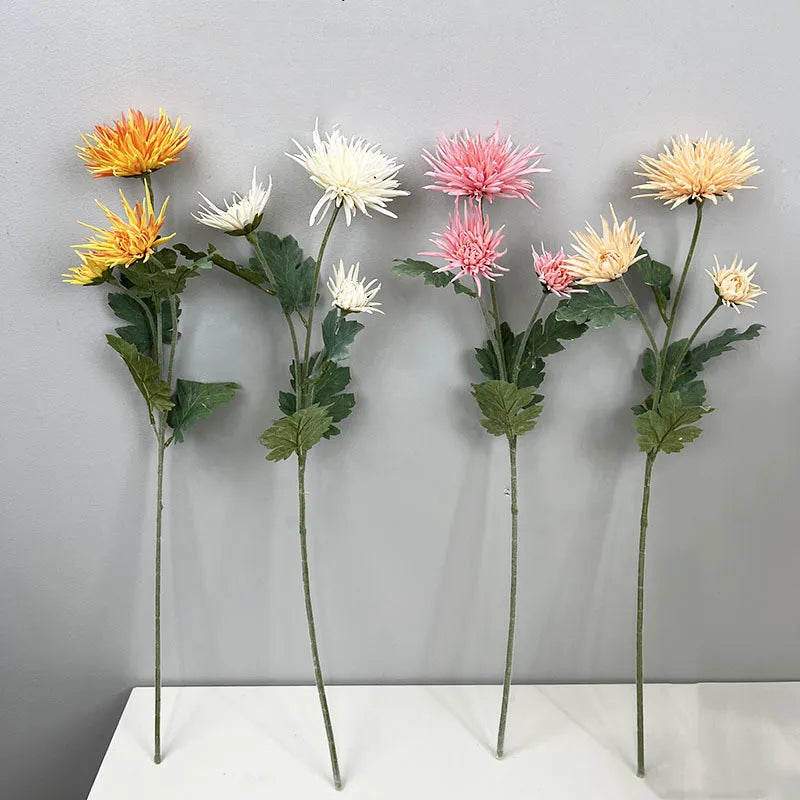 Tige de Chrysanthème "Araignée"