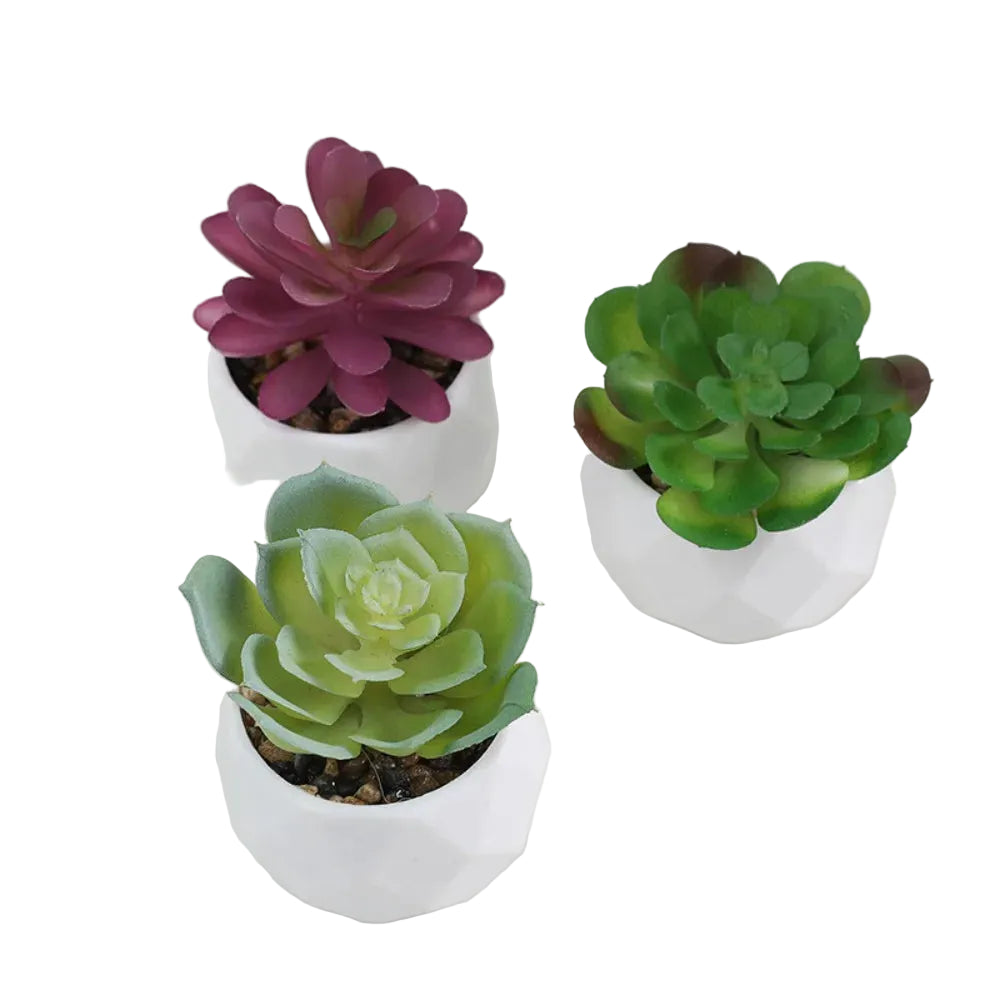 Mini-Succulente Artificielle