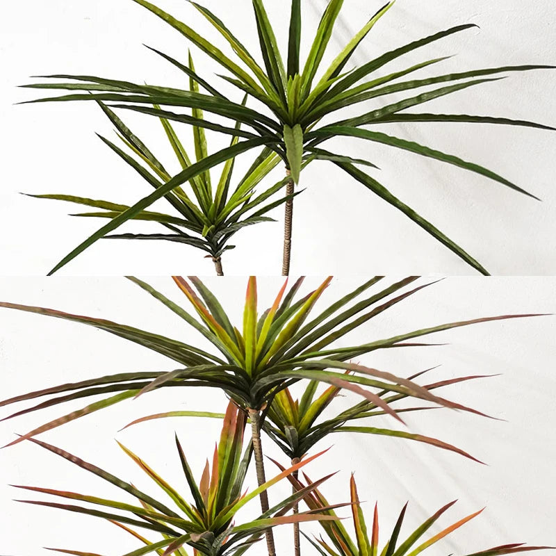 Dracaena Marginata Artificiel