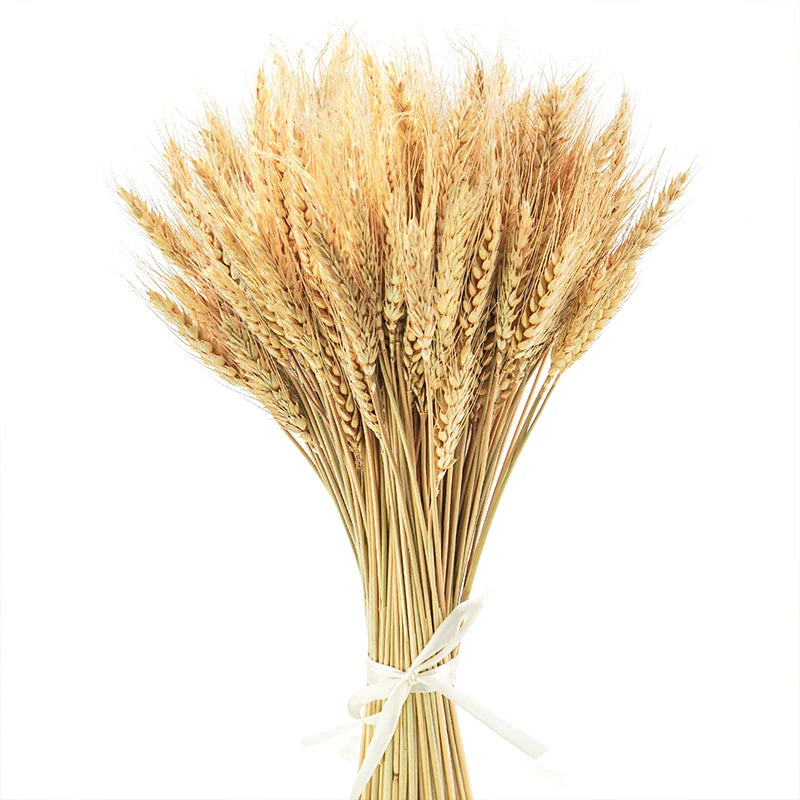 Bouquet de Blé Séché