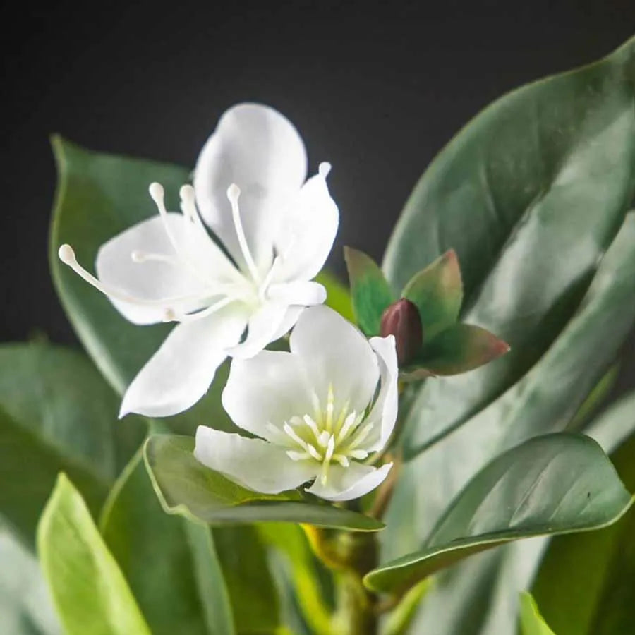 Branche de Magnolia Artificielle