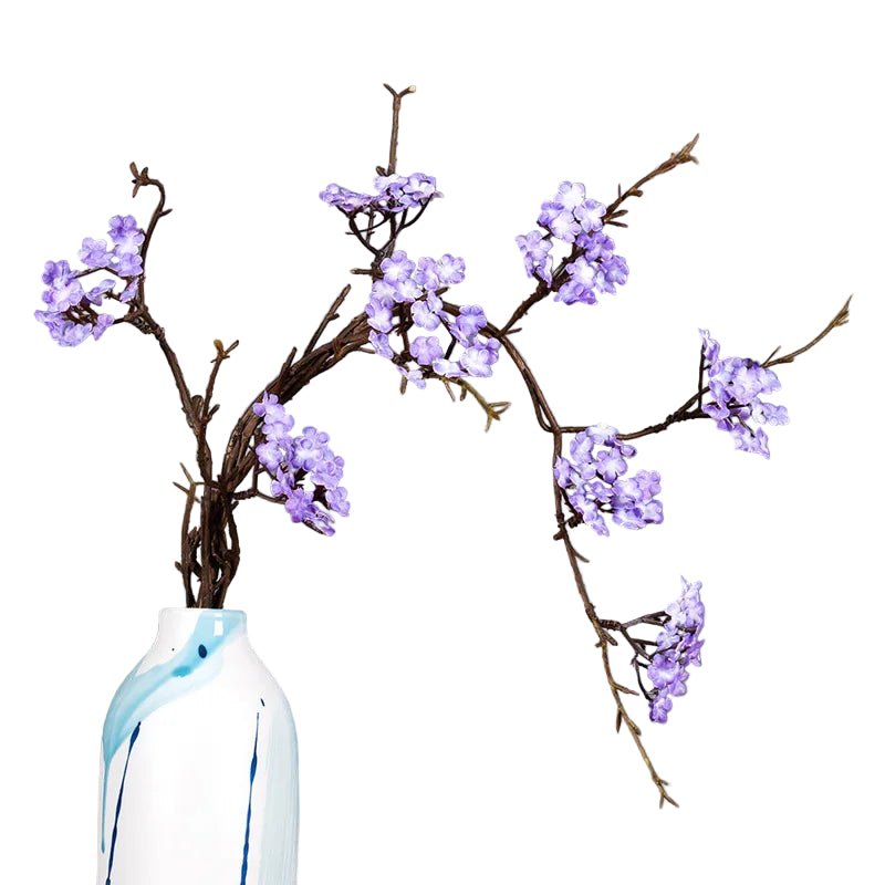 Branche de Prunier Japonaise