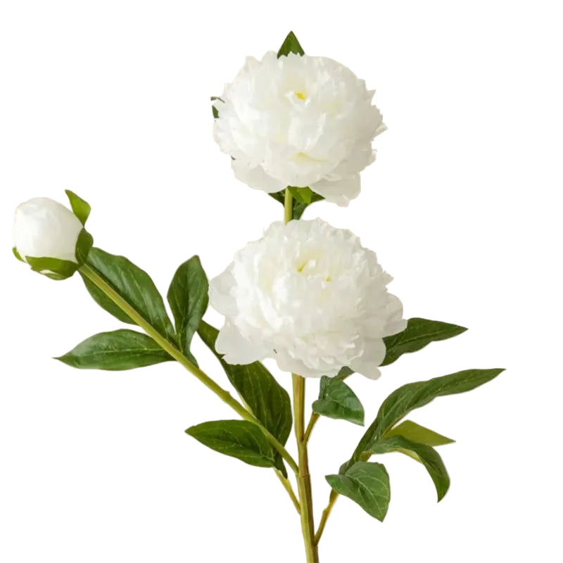 Tige de Pivoine Artificielle