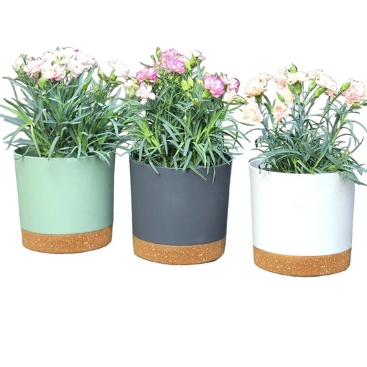 Pot en Céramique