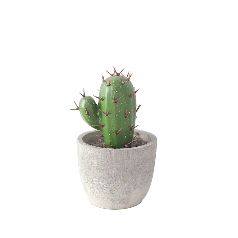 Mini Cactus Artificiels